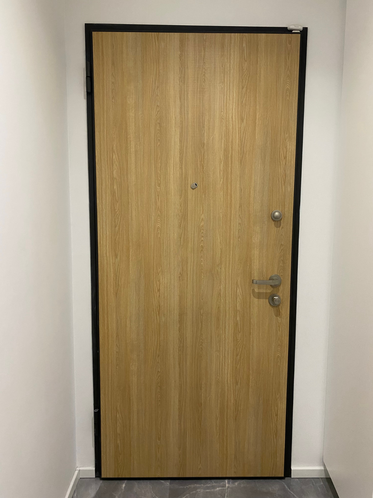 Oklejanie drzwi wejściowych – Gdańsk Zaspa - przed zmianą